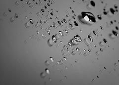 Co - L'Eau - Nies Co - L'Eau - Nies