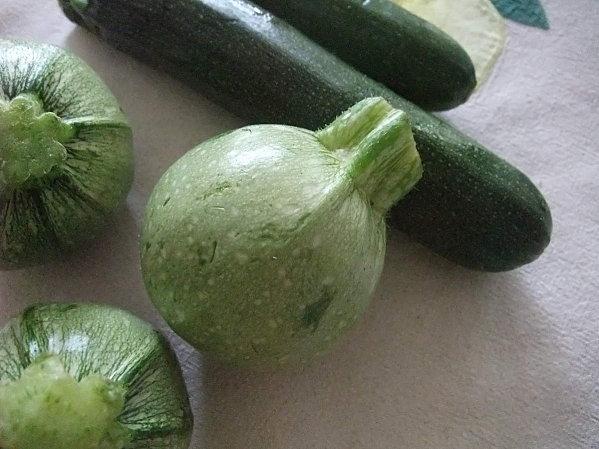 courgettedeNiceMEL2010.JPG