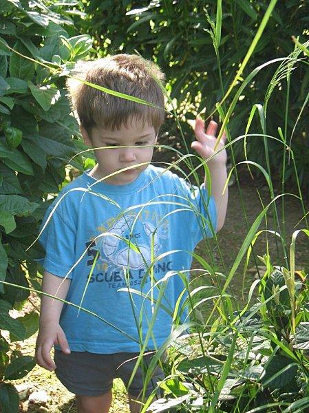 Un escargot tout chaud 29 Mai 2010 (45)