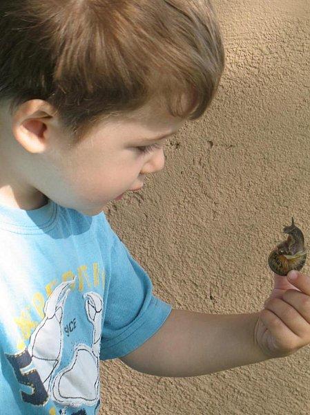 Un escargot tout chaud 29 Mai 2010 (26)