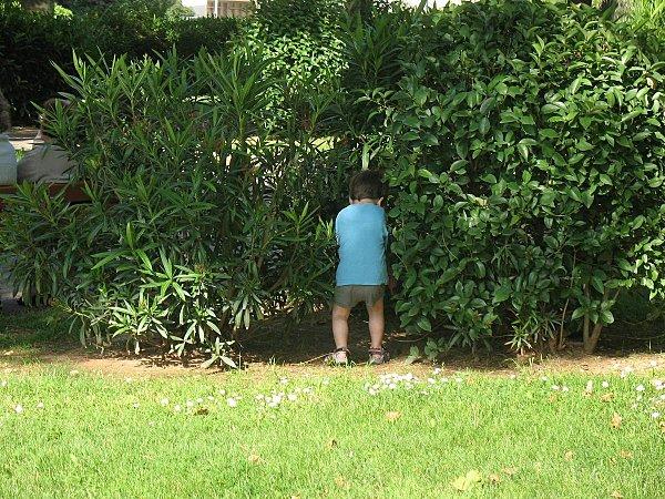 Un escargot tout chaud 29 Mai 2010 (10)