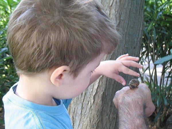 Un escargot tout chaud 29 Mai 2010 (18)