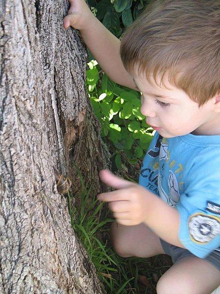 Un escargot tout chaud 29 Mai 2010 (33)