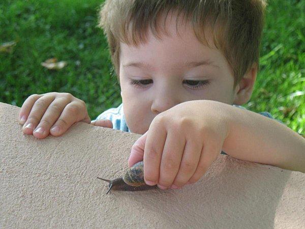 Un escargot tout chaud 29 Mai 2010 (28)