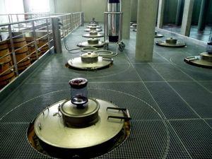 Portes ouvertes à Saint Emilion (1) 20100502_332_PO_St_Em