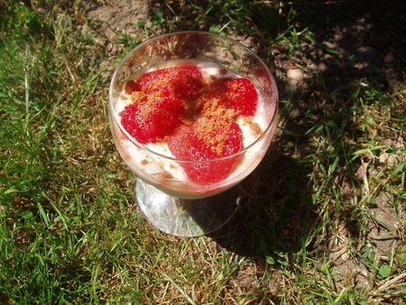 Verrines de fraises aux spéculoos P5230001