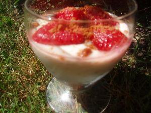 Verrines de fraises aux spéculoos P5230002