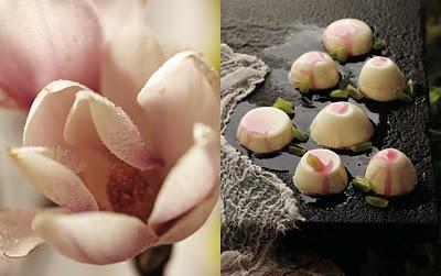 Anna Williams Anna Williams