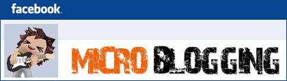 microblog Du blog au micro-blog