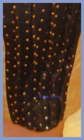 Les danseurs à l'honneur ! 2010-03-254