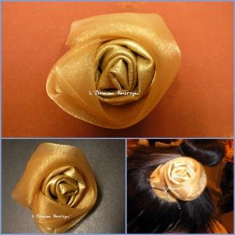 Les danseurs à l'honneur ! 2010-03-272