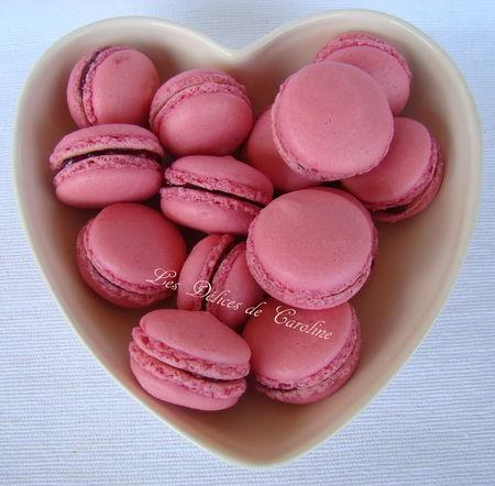 Macarons à la framboise DSC01839_1