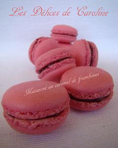Macarons à la framboise DSC01838
