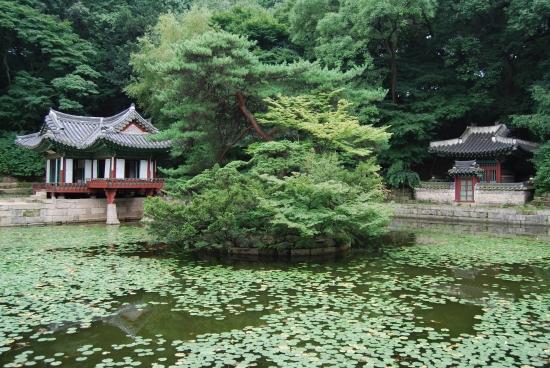Jardin secret - Situé dans  le palais  de Changdeokgung. Le Jardin secret est un havre de paix.