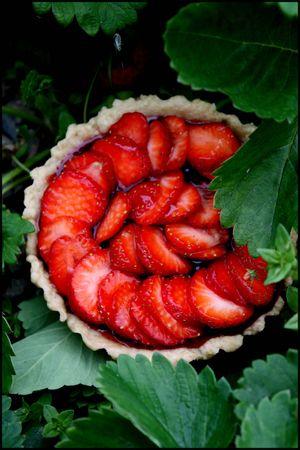tarte_aux_fraises