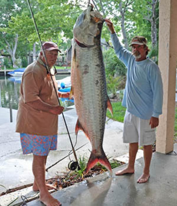 LA PLUS GROSSE FRITURE DU MONDE./ THE BIGGEST FISH-FRY IN THE WORLD.