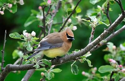 Parle, parle... Parle, parle...