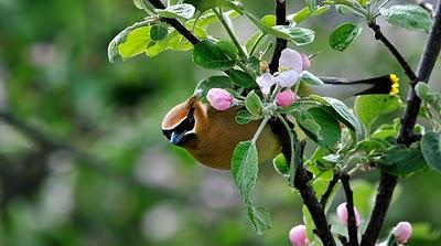 Parle, parle... Parle, parle...