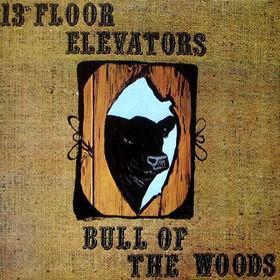 The 13th Floor Elevators