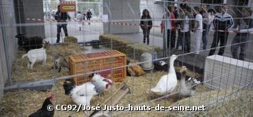 Une ferme bio s'installe dans un collège des Hauts-de-Seine