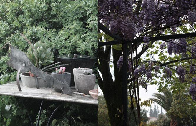 La scierie... ou la savoureuse vie champêtre de Cris! La scierie... ou la savoureuse vie champêtre de Cris!