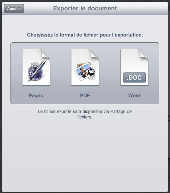 iPad : ce que je n'aime pas