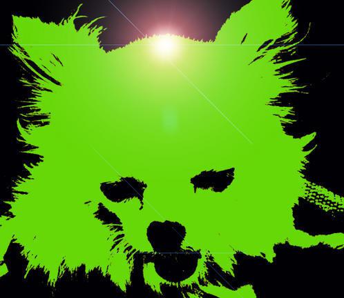 Cloner ou disparaître: marketing et science DOG.jpg