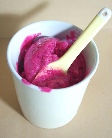 Sorbet à la cerise IMGP0469