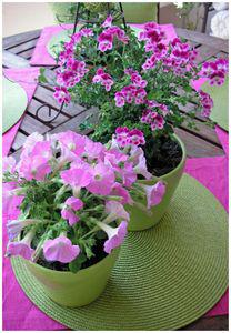 Je participe au petit jeu de Dom
~~ Montre moi ta terrass... 2010_06_05_balcon12