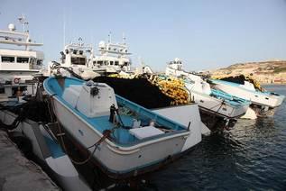 Coincés par la météo, bousculés par les écolos, le désarroi des pêcheurs de thon Coincés par la météo, bousculés par les écolos, le désarroi des pêcheurs de thon