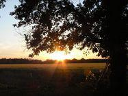 Coucher de soleil sur la région albigeoise (Tarn) Coucher de soleil sur la région albigeoise (Tarn)