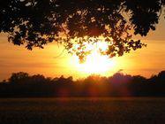 Coucher de soleil sur la région albigeoise (Tarn) Coucher de soleil sur la région albigeoise (Tarn)
