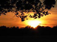 Coucher de soleil sur la région albigeoise (Tarn) Coucher de soleil sur la région albigeoise (Tarn)