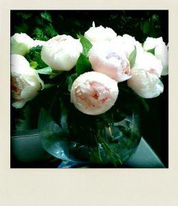 La Photo du dimanche #46