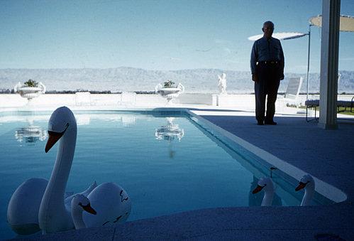 Doisneau-cygnes-gonflables.jpg