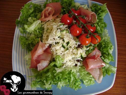 salade-de-riz-sur-lit-de-legumes.jpg