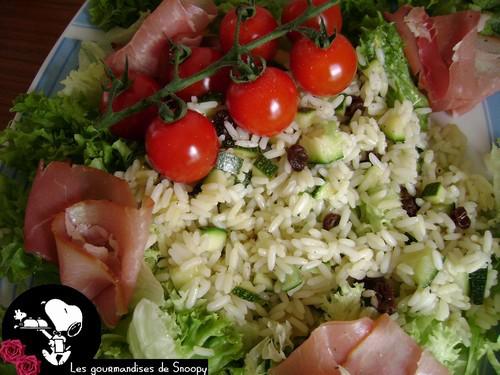 salade-de-riz-sur-lit-de-legumes2.jpg
