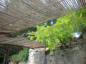 Premier PLOUF de la saison IMGP4097