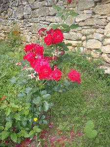 Premier PLOUF de la saison IMGP4098