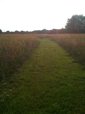 Monument du 11 mai 1945 à Bouvron Monument du 11 mai 1945 à Bouvron