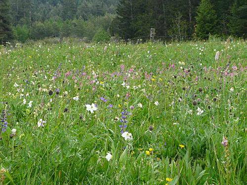 De retour de Vanoise P1040034.JPG