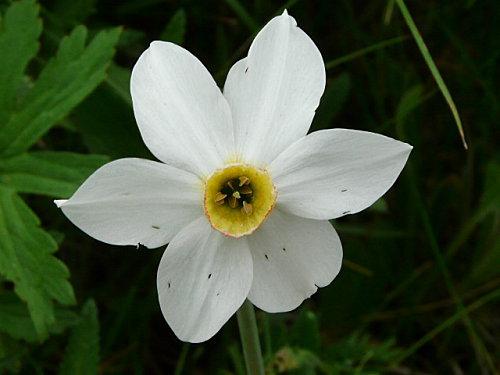 De retour de Vanoise P1040040.JPG