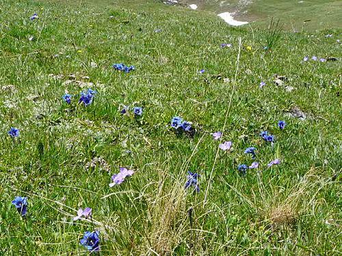 De retour de Vanoise P1030909.JPG