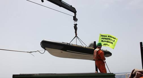 Les zodiac sont mis à l'eau à l'aide d'une grue