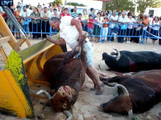 Encore un qui a besoin de voir le sang couler pour bander toros