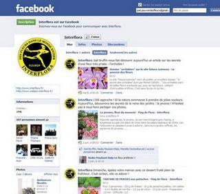Facebook-interflora Facebook-interflora