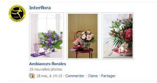 Facebook-interflora-4 Facebook-interflora-4