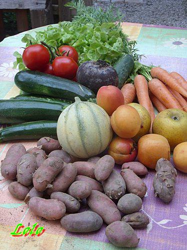 Dans mon panier .... panierbio.jpg