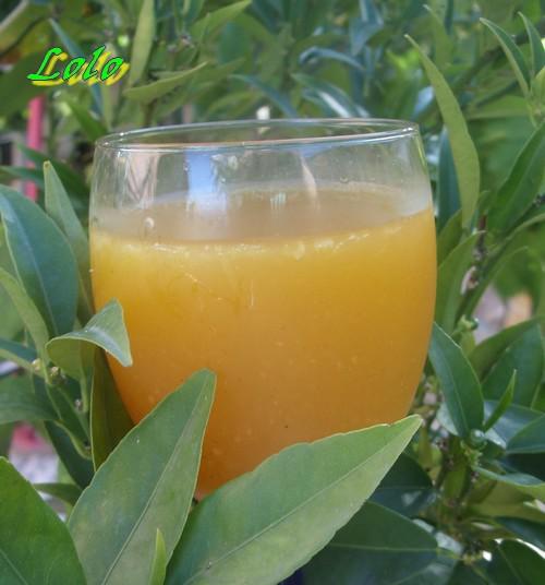 Punch Lolo punch.jpg