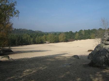 Forêt Fontainebleua 108ème sortie – Circuit des 25 bosses